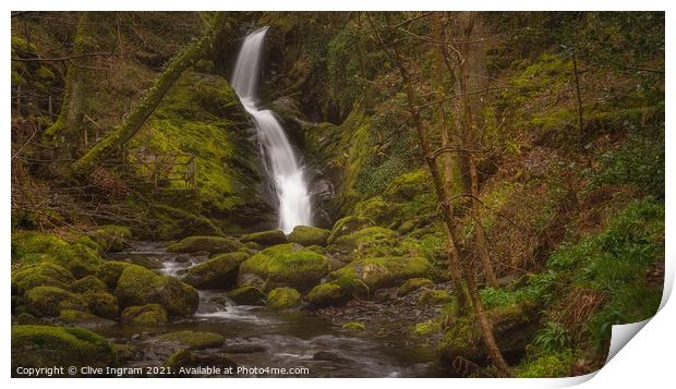 Dolgoch Waterfall in Wales Print by Clive Ingram