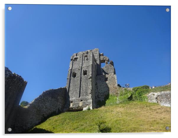 Corfe Castle Ruins Acrylic by John Bridge