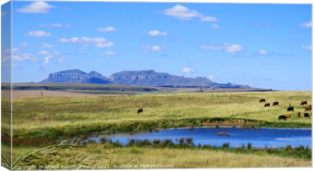 Pastoral scene near Sterkfontein Dam, Kwazulu Natal Canvas Print by Adrian Turnbull-Kemp