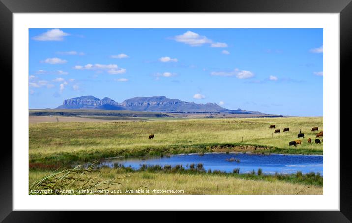 Pastoral scene near Sterkfontein Dam, Kwazulu Natal Framed Mounted Print by Adrian Turnbull-Kemp