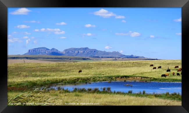 Pastoral scene near Sterkfontein Dam, Kwazulu Natal Framed Print by Adrian Turnbull-Kemp