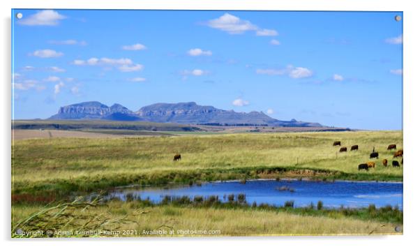 Pastoral scene near Sterkfontein Dam, Kwazulu Natal Acrylic by Adrian Turnbull-Kemp