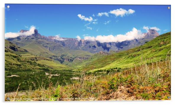 Amphitheatre, Drakensberg mountains, Kwazulu Natal Acrylic by Adrian Turnbull-Kemp
