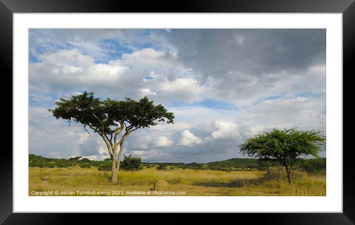 Looming storm clouds, Spioenkop Nature Reserve, Kwazulu Natal Framed Mounted Print by Adrian Turnbull-Kemp