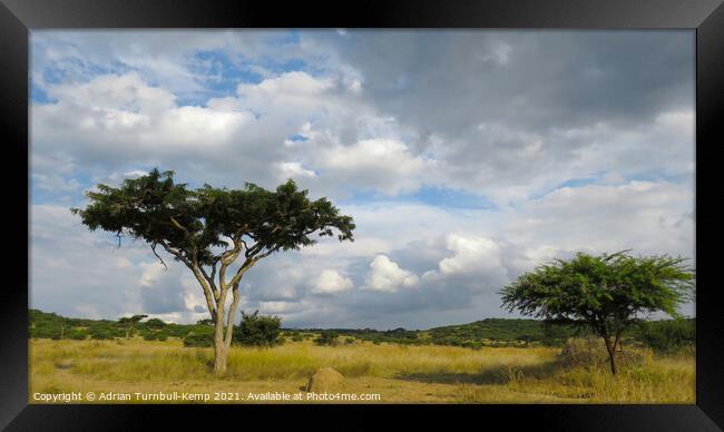 Looming storm clouds, Spioenkop Nature Reserve, Kwazulu Natal Framed Print by Adrian Turnbull-Kemp