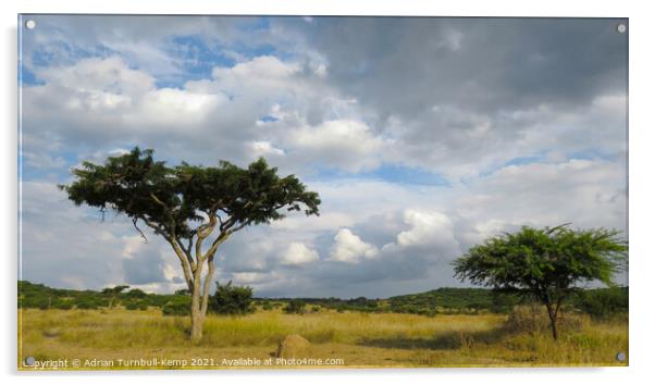 Looming storm clouds, Spioenkop Nature Reserve, Kwazulu Natal Acrylic by Adrian Turnbull-Kemp