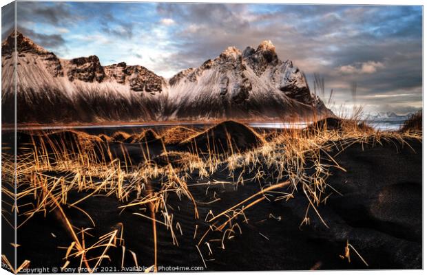 Vestrahorn Gold Canvas Print by Tony Prower