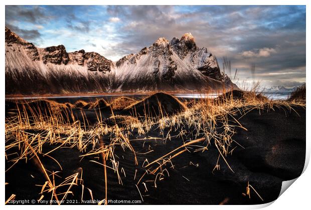 Vestrahorn Gold Print by Tony Prower