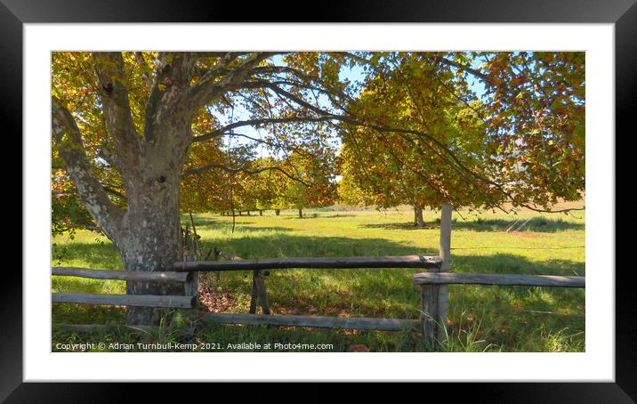 Autumnal scene near Winterton, Kwazulu Natal Framed Mounted Print by Adrian Turnbull-Kemp