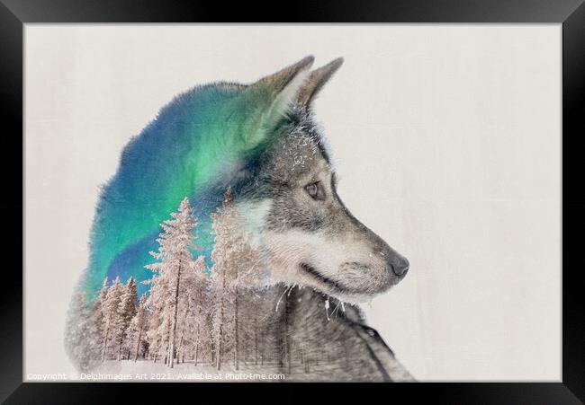 Double exposure husky dog and snowy landscape Framed Print by Delphimages Art
