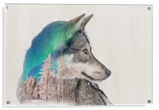 Double exposure husky dog and snowy landscape Acrylic by Delphimages Art