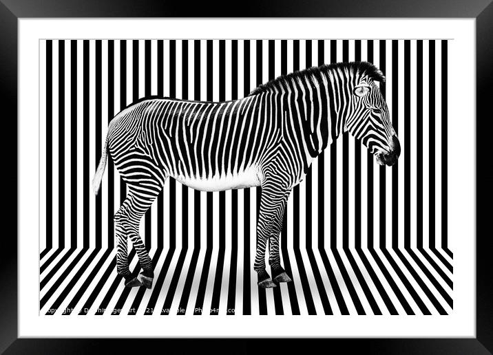 Surreal zebra on striped background Framed Mounted Print by Delphimages Art