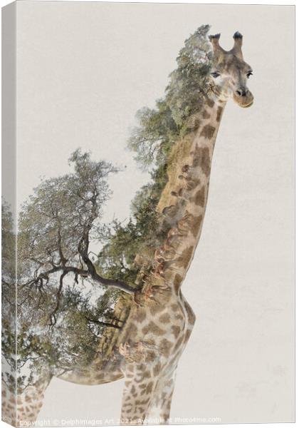 Double exposure giraffe and savannah landscape Canvas Print by Delphimages Art