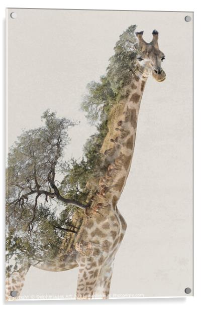 Double exposure giraffe and savannah landscape Acrylic by Delphimages Art