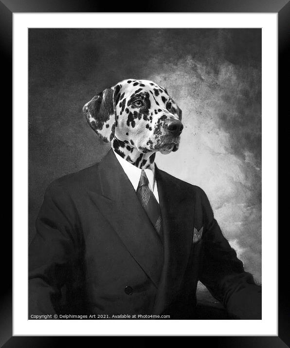 Portrait of a dalmatian dog in a black suit Framed Mounted Print by Delphimages Art