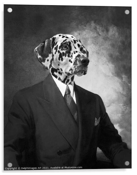 Portrait of a dalmatian dog in a black suit Acrylic by Delphimages Art