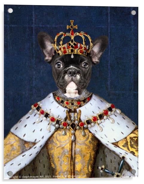 Queen Boston Terrier dog, royal pet portrait Acrylic by Delphimages Art