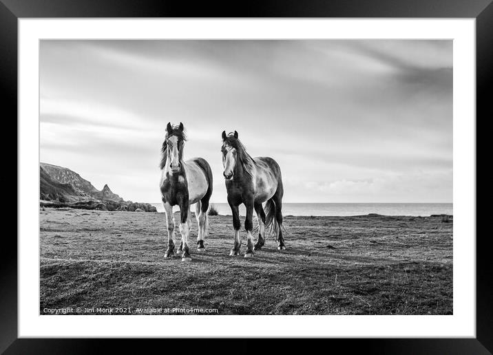 Horses by the sea Framed Mounted Print by Jim Monk