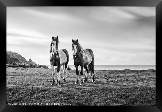 Horses by the sea Framed Print by Jim Monk