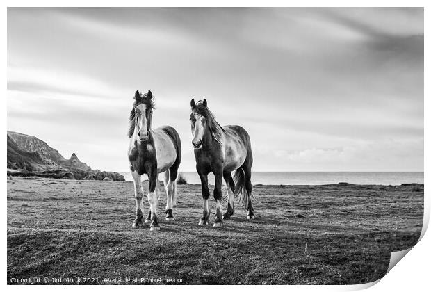 Horses by the sea Print by Jim Monk