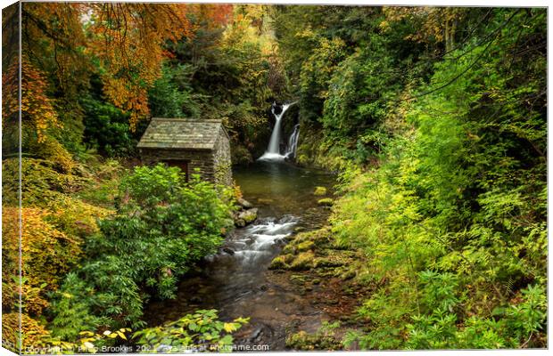 Rydal Falls in Autumn Canvas Print by Philip Brookes