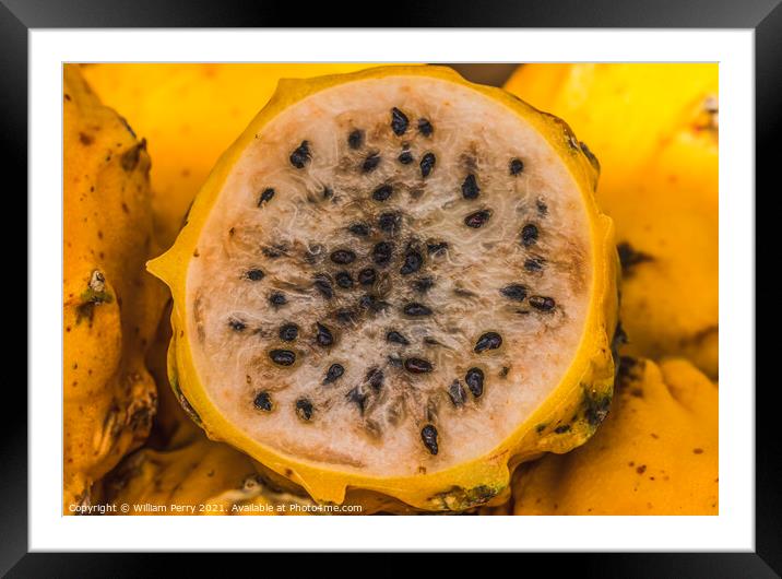 Yellow Dragonfruit Florida Framed Mounted Print by William Perry