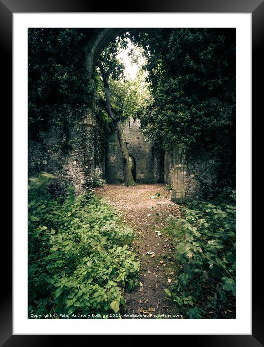 Somerton Church Framed Mounted Print by Peter Anthony Rollings