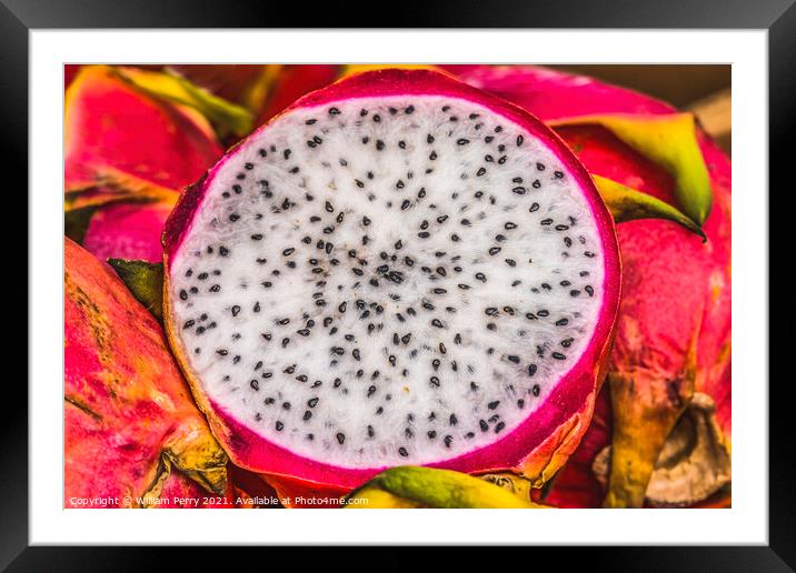 Pink Dragonfruit Piahaya Florida Framed Mounted Print by William Perry