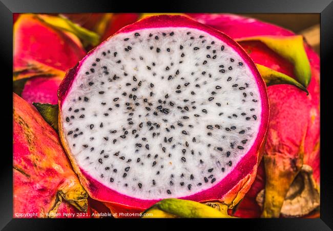 Pink Dragonfruit Piahaya Florida Framed Print by William Perry