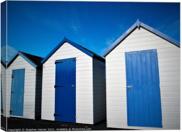 Blue and White Canvas Print by Stephen Hamer