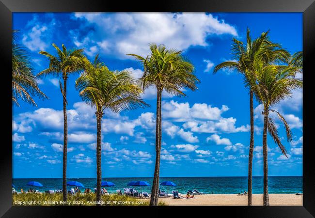 Yellow Beach Palm Trees Blue Ocean Fort Lauderdale Florida Framed Print by William Perry
