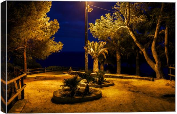 Night In Park By The Sea Canvas Print by Artur Bogacki