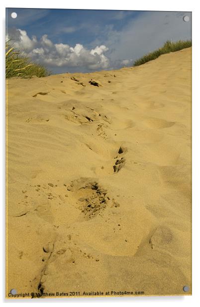 Camber Dunes Acrylic by Matthew Bates