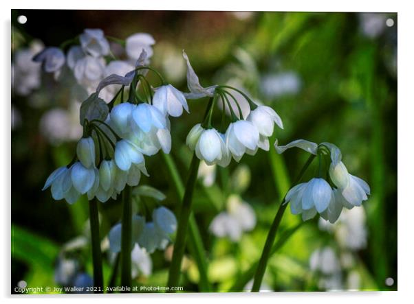 White bell shaped blooms, Acrylic by Joy Walker
