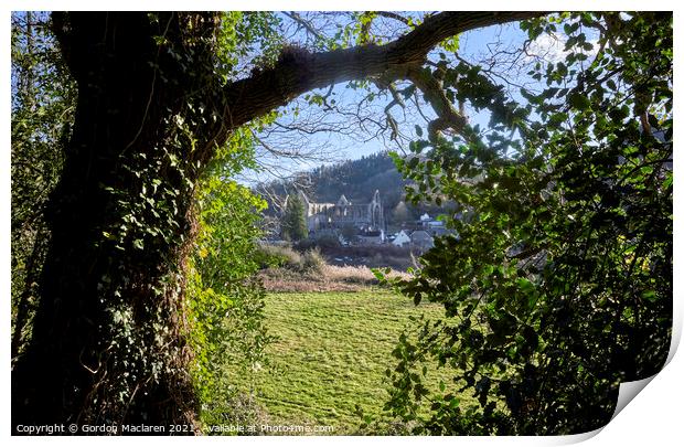 Tintern Abbey through the trees Print by Gordon Maclaren