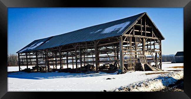 Winters Last Stand Framed Print by Deanne Flouton