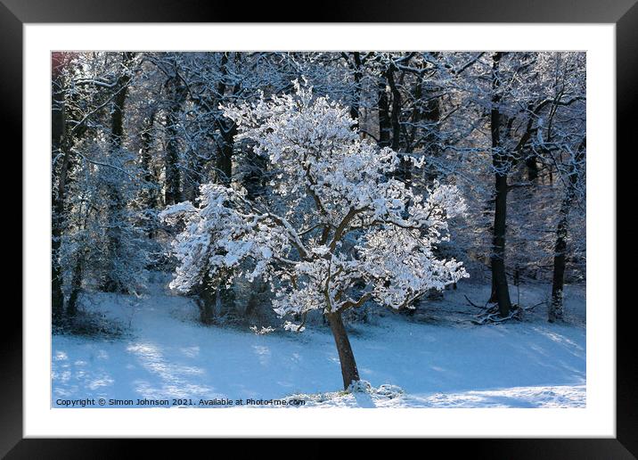 Snow clad tree  Framed Mounted Print by Simon Johnson