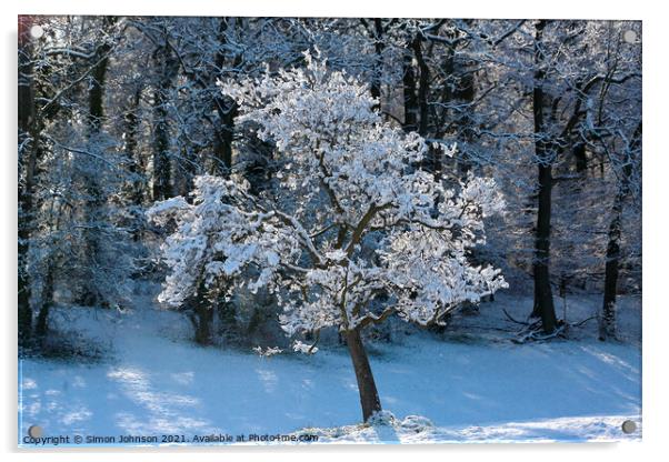 Snow clad tree  Acrylic by Simon Johnson