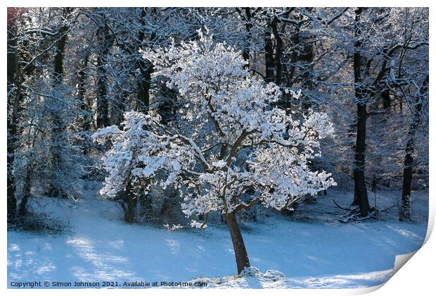 Snow clad tree  Print by Simon Johnson