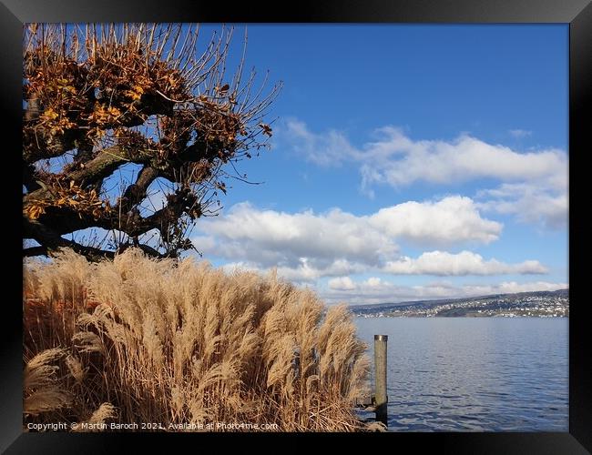 Autumn at Lake Zurich Framed Print by Martin Baroch