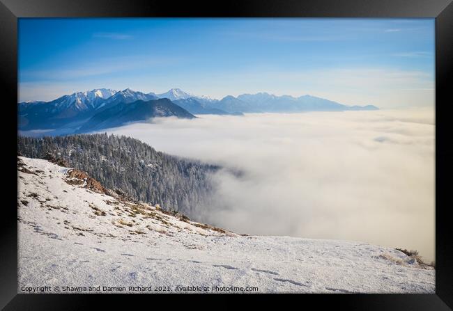 Above cloud inversion Swansea Mountain Rocky Mountains British C Framed Print by Shawna and Damien Richard