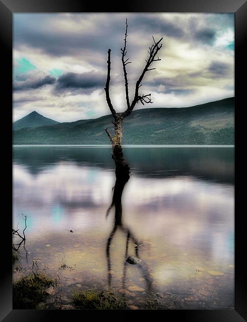 Lone Tree on Loch Rannoch Framed Print by Aj’s Images