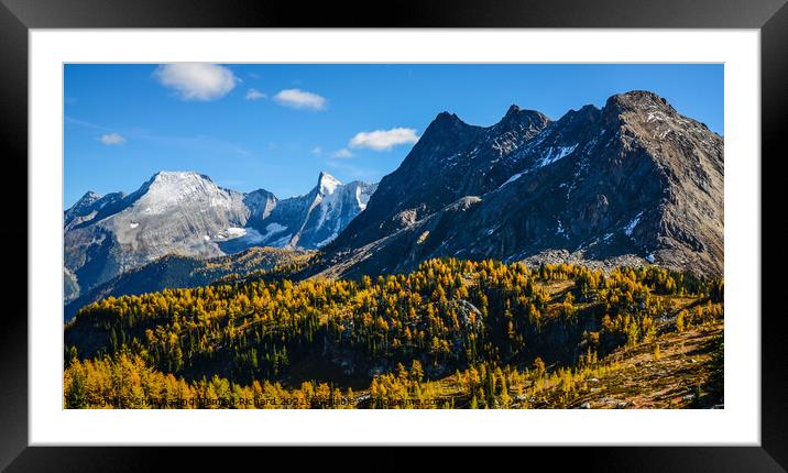 Jumbo Pass British Columbia Canada in Fall with Larch Framed Mounted Print by Shawna and Damien Richard