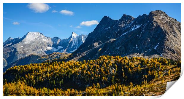 Jumbo Pass British Columbia Canada in Fall with Larch Print by Shawna and Damien Richard