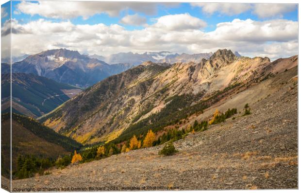 Brewer Creek Landscape in Fall, British Columbia Canada Canvas Print by Shawna and Damien Richard