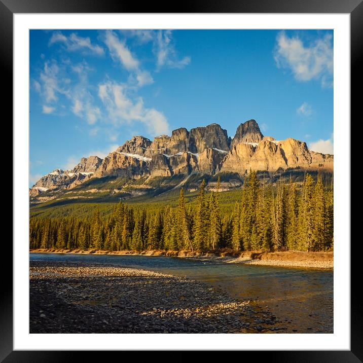 Castle Mountain in Banff National Park Alberta Framed Mounted Print by Shawna and Damien Richard