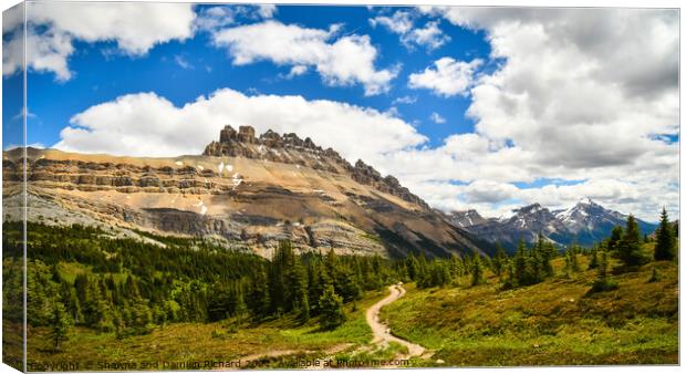 Mountain view LDolomite Pass Banff National PArk Canvas Print by Shawna and Damien Richard