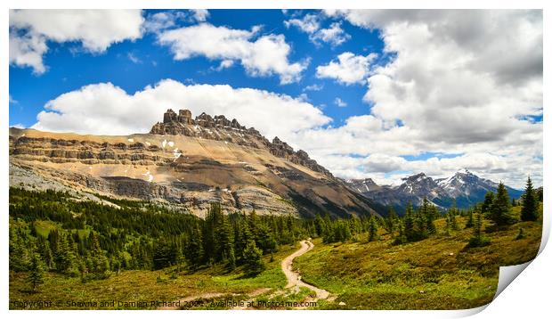 Mountain view LDolomite Pass Banff National PArk Print by Shawna and Damien Richard