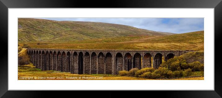 Ribblehead Viaduct Panoramic Framed Mounted Print by Diana Mower