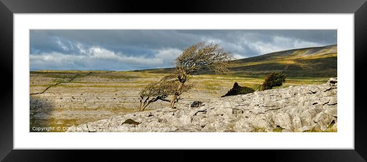 Twistleton Scar  Yorkshire Dales Panoramic Framed Mounted Print by Diana Mower